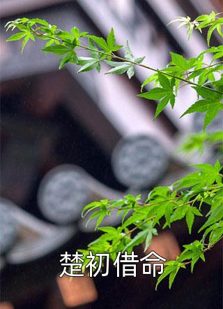 全文章节偏执宠爱：三爷的小祖宗飒翻了