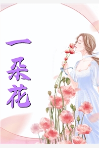 婚情漫漫,周律师他见不得光粉瓣精选小说