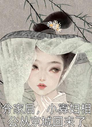 和婆婆组团和离后，父子俩悔疯了全文阅读